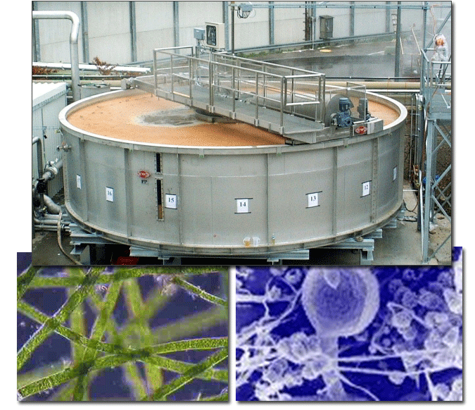 Dissolved Air Flotation (DAF)